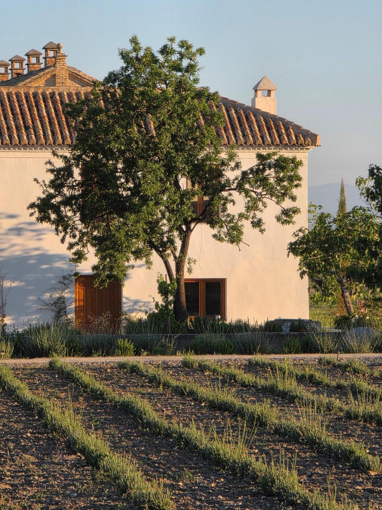 Séjour à la campagne Cortijo De La Seda Grenade