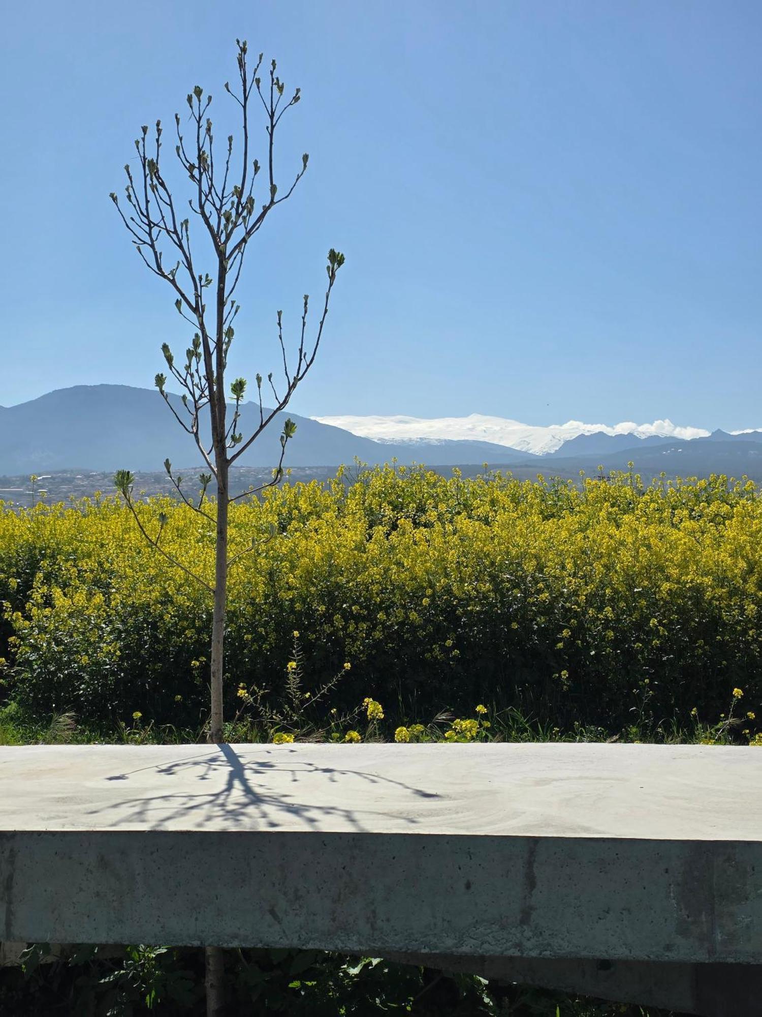 Cortijo De La Seda *