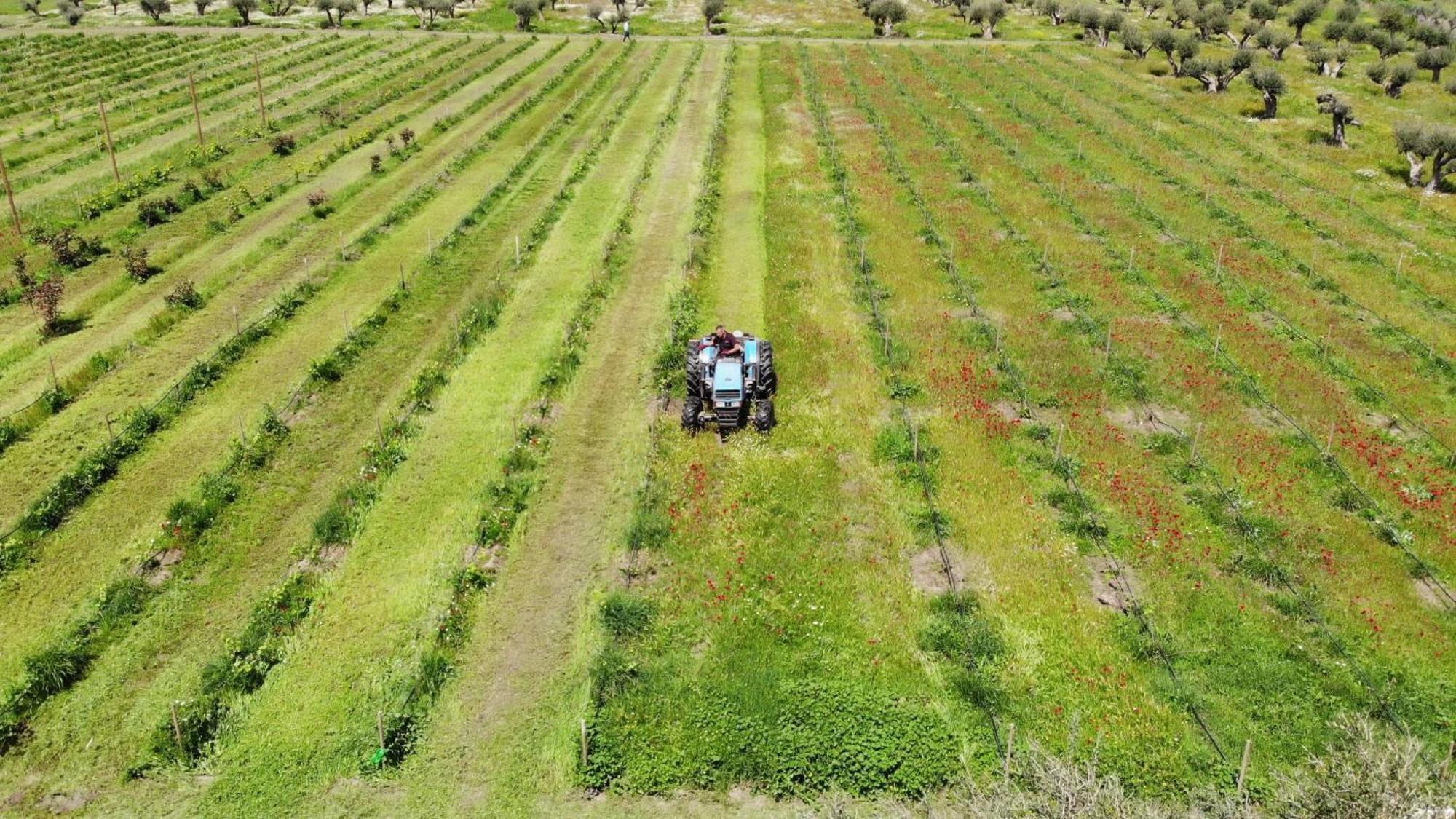 Cortijo De La Seda Séjour à la campagne *