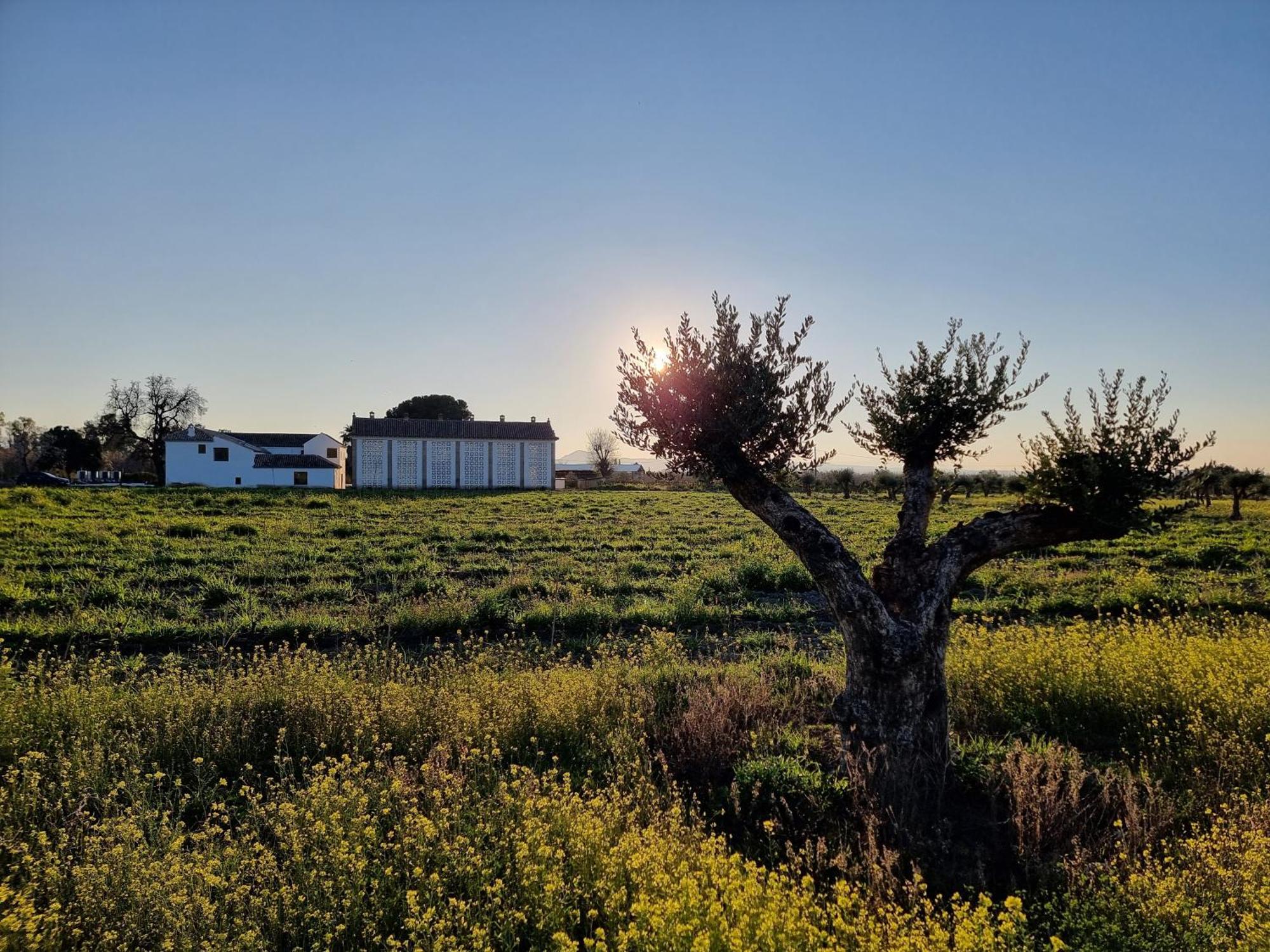 Séjour à la campagne Cortijo De La Seda *